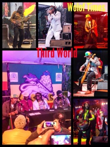 Third World recently lost their lead singer Bunny Rugs but haven’t lost step by replacing him with their long time friend and partner AJ Brown who has a great vocal range. They epitomize music in that they are musicians first and foremost from the Bass, to lead guitar, to drums and hand drums, they are to me the “Earth, Wind and Fire” of Reggae. They delivered classic 80s hits such as “Forbidden Love” and Lead guitarist Stephen Cat Coore mesmerized the crowd by rendering Bob Marley classics such as “Redemption Song” with his Cello. Their lead drummer also electrified the crowd by playing the African Djembe very reminiscent of the West African style of drumming. This was a special performance for them as they’re celebrating 40 years of conscious freedom songs and still mourning the death of Bunny Rugs. https://woloftimes.wordpress.com/baby-f-dada-custom-clothing-www-babyfdada-com/ Fitness is 80% Nutrition and 20% Exercise! If you’re interested in losing weight, check: https://woloftimes.wordpress.com/herbalife-fitness-nutrition/ 